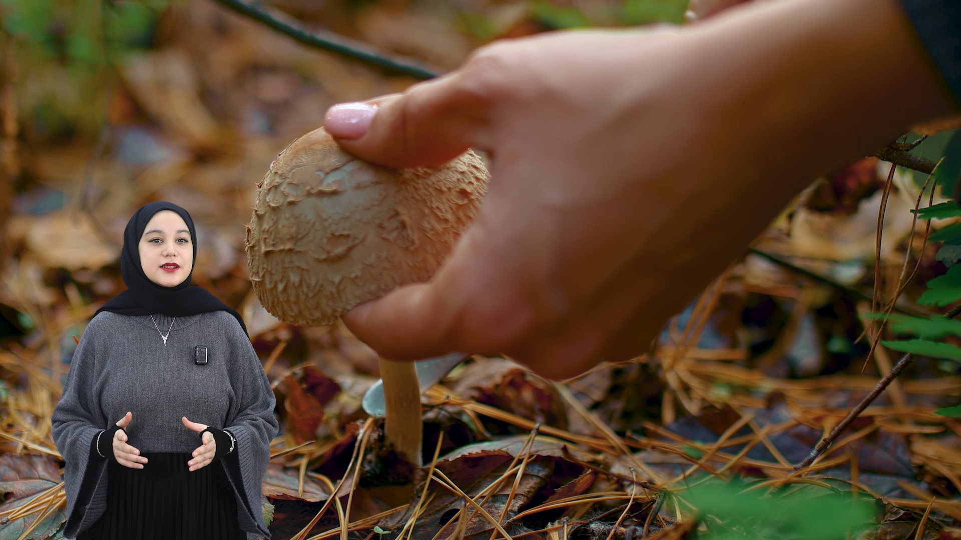 Dünyadaki en büyük canlı gerçekten mavi balina mı❓🐋🐳